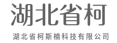 芯片方寸藏乾坤,云端互联通万物-湖北省柯斯楠科技有限公司
